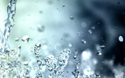 The power of good hydration: perform better, look better